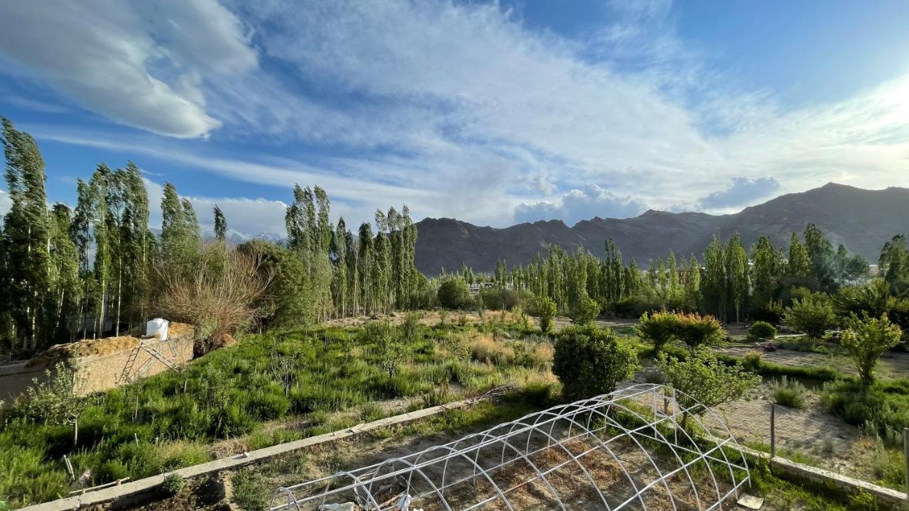 The Willow House Leh Extérieur photo